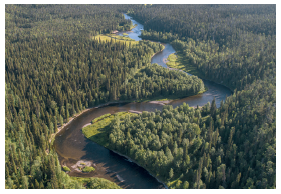 Fig. 11 Taiga (Finlanda)